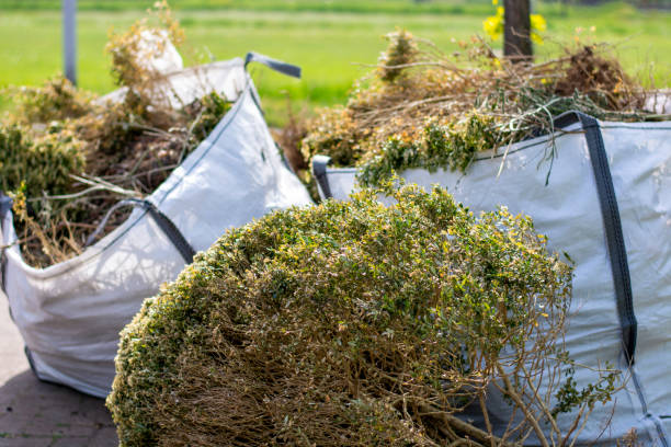Yard Cleanup Services in Willows, CA