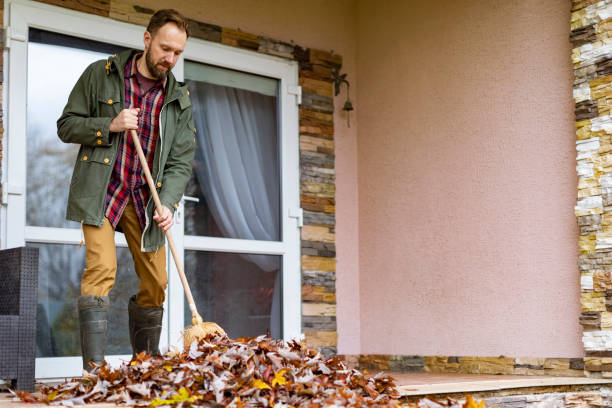 Best Junk Hauling Services  in Willows, CA